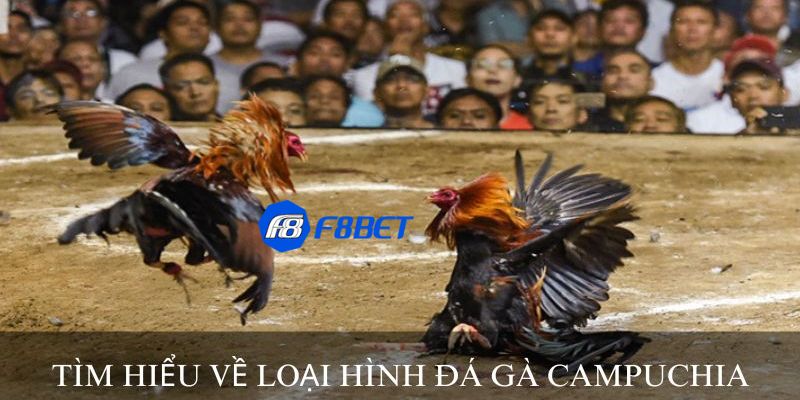 các loại hình đá gà Khám phá các loại hình đá gà online phổ biến hàng đầu