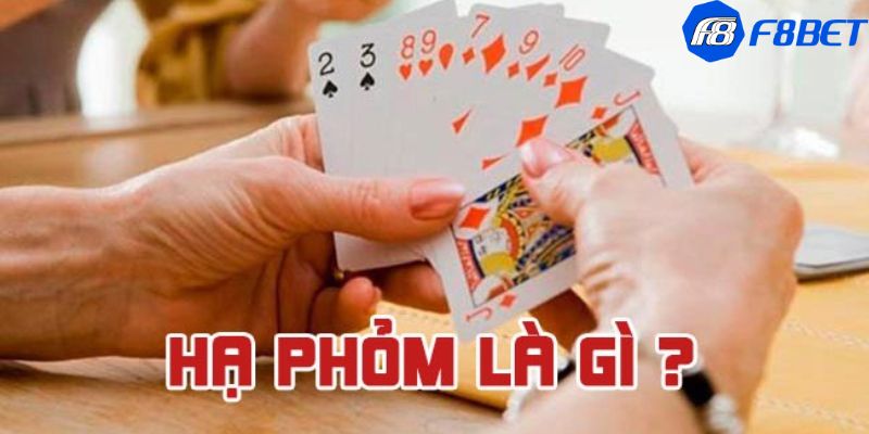 Cách chơi bài phỏm cho người mới bắt đầu: Hướng dẫn chi tiết