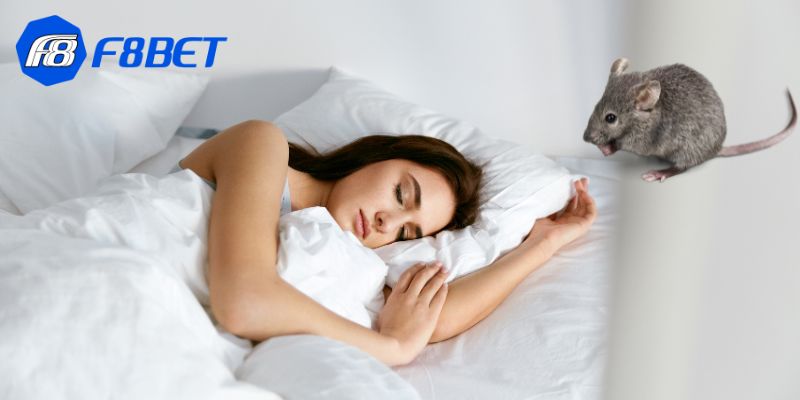 Một số lời khuyên hữu ích khi gặp giấc mơ thấy chuột