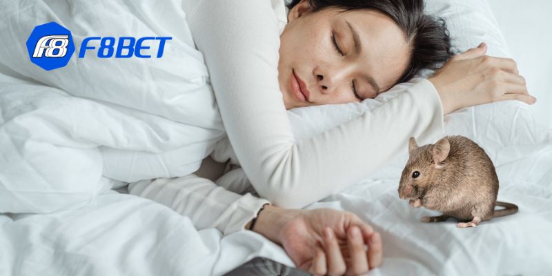 Giấc mơ là tín hiệu nhắc nhở trong cá cược