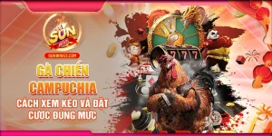 Gà Chiến Campuchia: Cách Xem Kèo Và Đặt Cược Đúng Mức