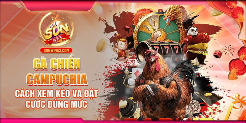 Gà Chiến Campuchia: Cách Xem Kèo Và Đặt Cược Đúng Mức