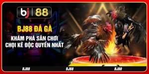 Bj88 Đá Gà – Khám Phá Sân Chơi Chọi Kê Độc Quyền Nhất