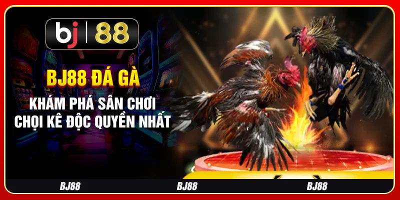 Bj88 Đá Gà – Khám Phá Sân Chơi Chọi Kê Độc Quyền Nhất