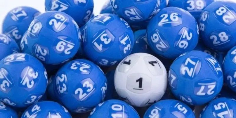 cach-thuc-hoat-dong-cua-loai-thu-lo