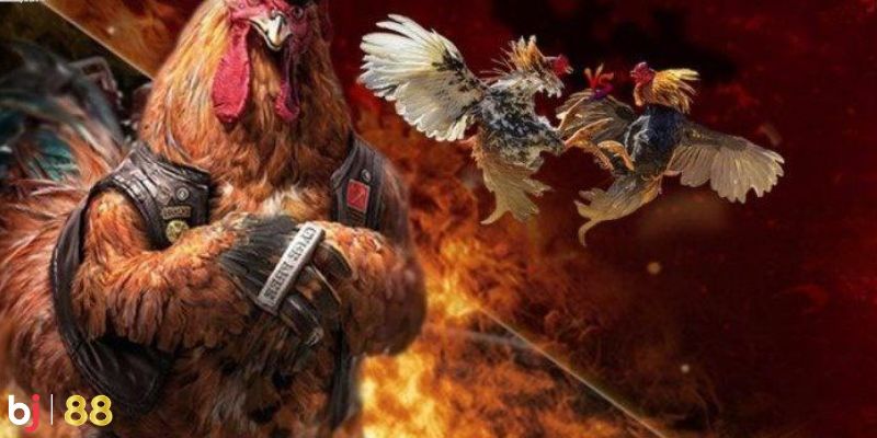 Nhiều trận đấu hấp dẫn mỗi ngày