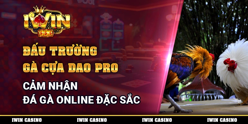 Đấu Trường Gà Cựa Dao Pro - Cảm Nhận Đá Gà Online Đặc Sắc