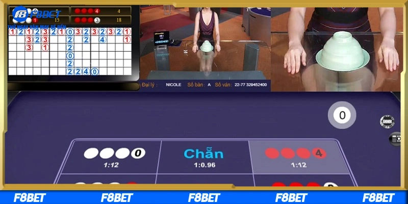 Cách người chơi tận dụng thuật toán để thắng lớn