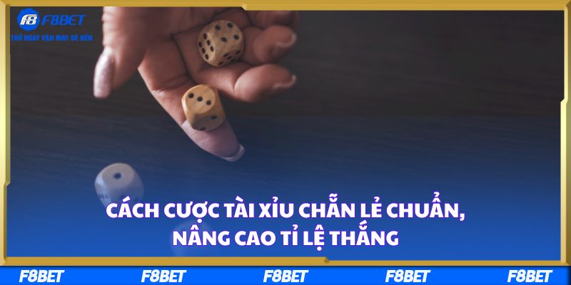 Cách Cược Tài Xỉu Chẵn Lẻ Chuẩn, Nâng Cao Tỉ Lệ Thắng