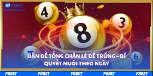 Dàn Đề Tổng Chẵn Lẻ Dễ Trúng – Bí Quyết Nuôi Theo Ngày