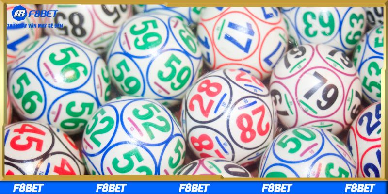 Cùng nền tảng khám phá lô tổng 7