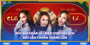 Xóc Đĩa Chẵn Lẻ – Mẹo Chơi Và Cách Bắt Cầu Chuẩn Thắng Lớn