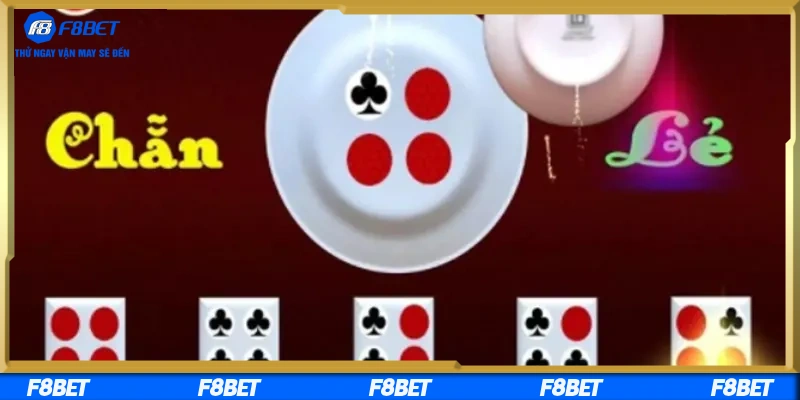 Kinh nghiệm thực tế từ cao thủ tối ưu lợi nhuận